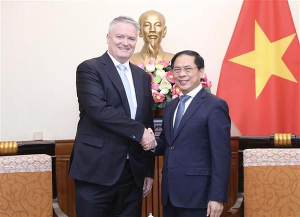 Foreign Minister hosts OECD Secretary-General hinh anh 1