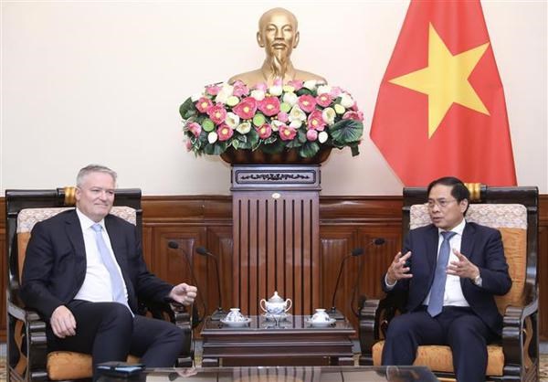 Foreign Minister hosts OECD Secretary-General hinh anh 2