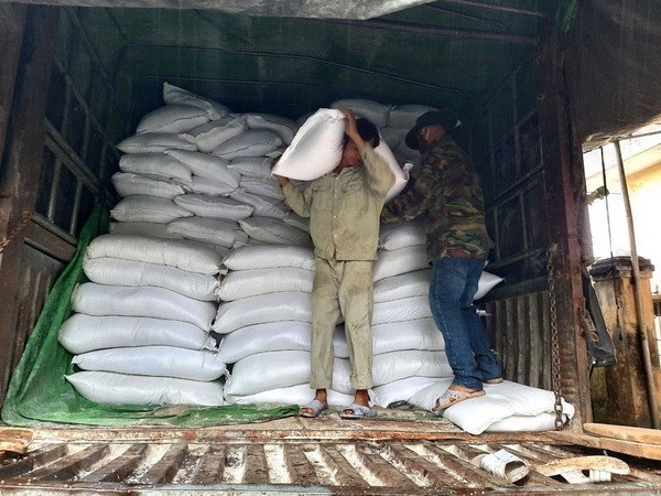 Government allocates over 478 tonnes of rice for Gia Lai province hinh anh 1
