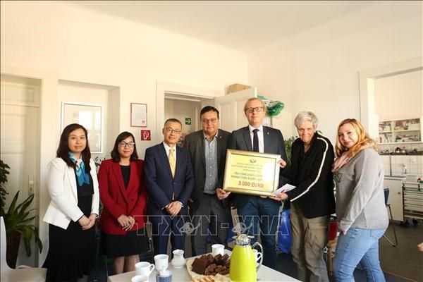 Vietnamese community in Germany joins social activities hinh anh 1