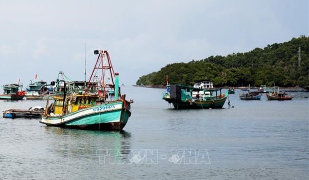 Fishery sector takes various measures to get EC yellow card removed hinh anh 1