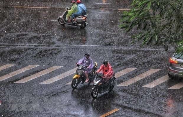 New cold spell brings rain to northern region hinh anh 2