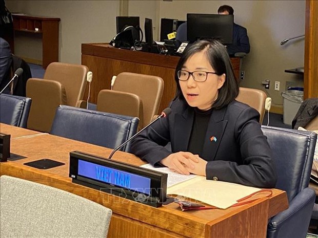 Vietnam commits to advancing women’s progress: ambassador hinh anh 1