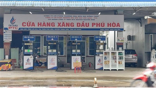 Ministries trade blame for disrupted petrol supply hinh anh 1