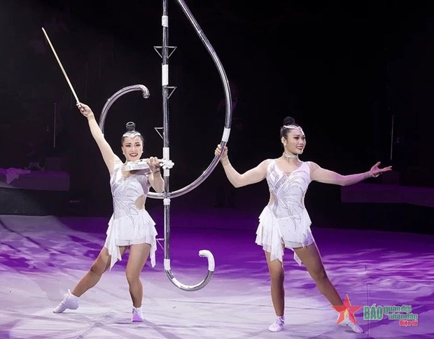 Vietnam wins gold at International Circus Festival in Russia hinh anh 1