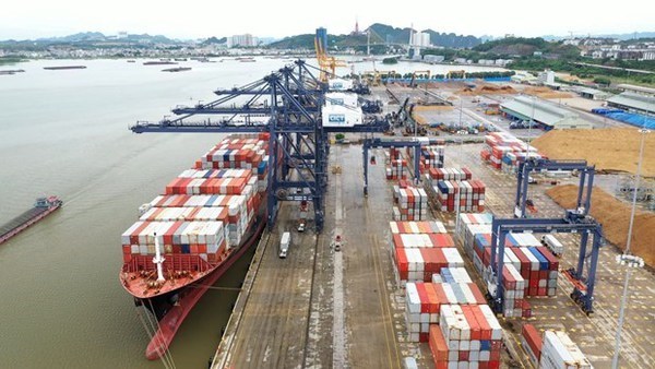 Vietnam, India likely to complete trade target this year: official hinh anh 1