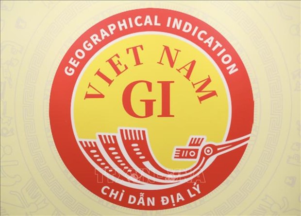 Vietnam National Geographical Indication logo revealed hinh anh 1