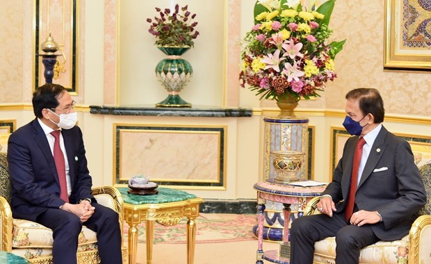 Vietnam, Brunei forge cooperation across spheres hinh anh 2