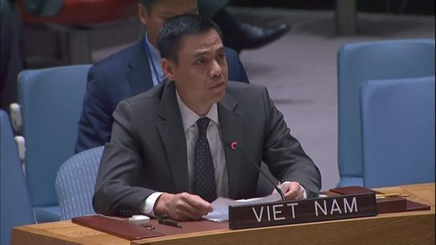 Vietnam emphasises consistent stance on Palestine issue hinh anh 1