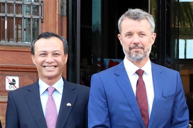 Danish firms keen on Vietnamese market: Diplomat hinh anh 1