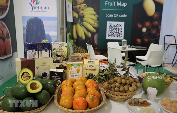 Vietnam targets over 5 billion USD in fruit export turnover by 2025 hinh anh 1