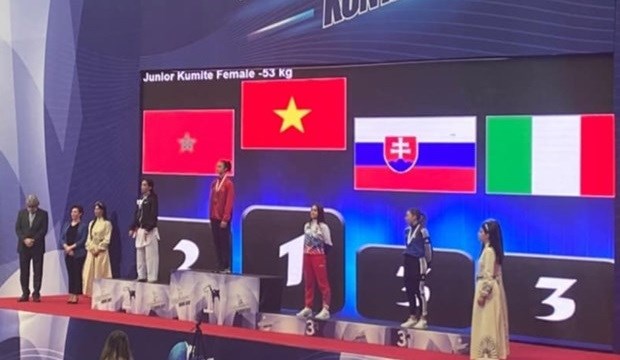 Des athlètes vietnamiens remportent des médailles d'or au Championnat du monde d'arts martiaux Hinh Anh 1
