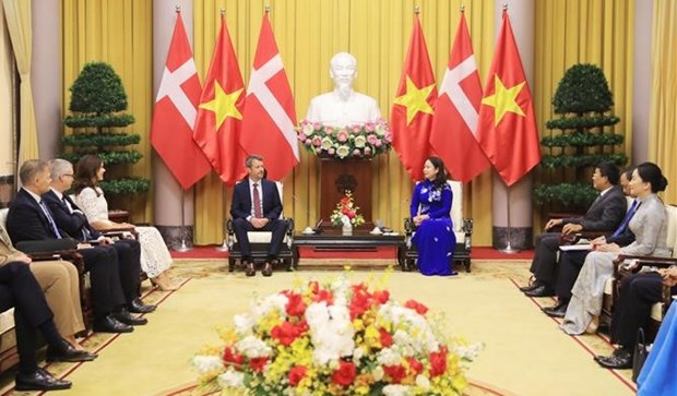 Vice President meets with Danish Crown Prince hinh anh 1