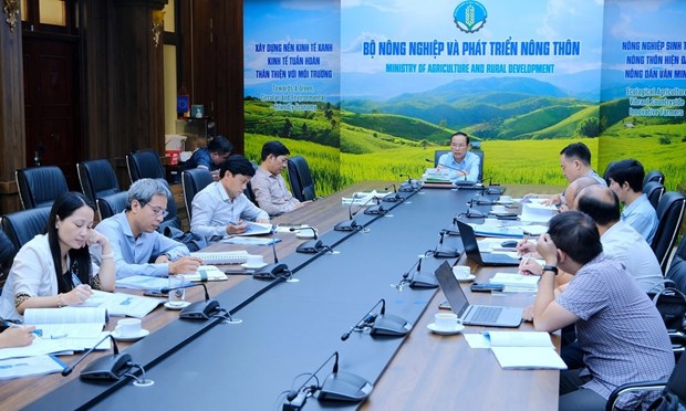 Fishing port planning – fulcrum for fisheries sector’s sustainable development hinh anh 2