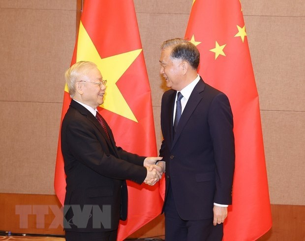 Chinese Party, State treasure neighbourliness, partnership with Vietnam: official hinh anh 1