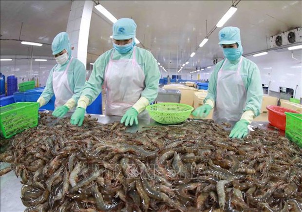 Aquatic exports post 34-percent-growth in 10 months hinh anh 2
