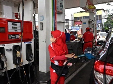 Indonesia to extend gas exports to Singapore hinh anh 1