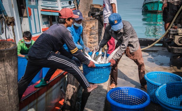 Thailand assists fishermen with low-interest loans hinh anh 1