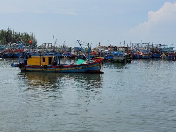 Vietnam works hard to prevent fishing vessels' infringement of foreign waters hinh anh 1