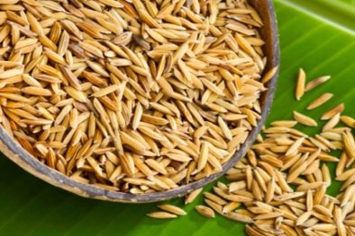 Vietnamese scientist discovers anti-cancer agents from rice husks hinh anh 1