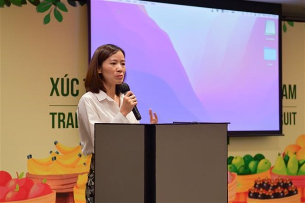 Ample room remains for Vietnam’s fruit exports to Thailand: Forum hinh anh 1