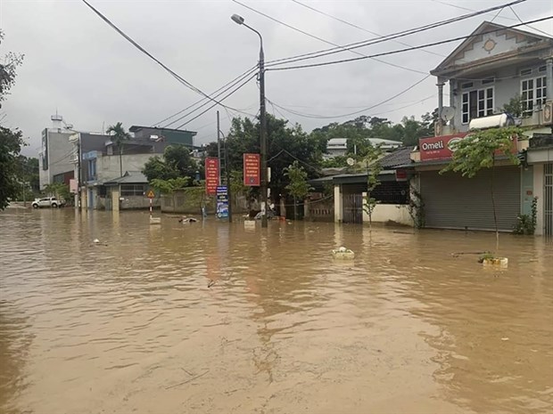 Rainfall this year above average, more typhoons possible hinh anh 1