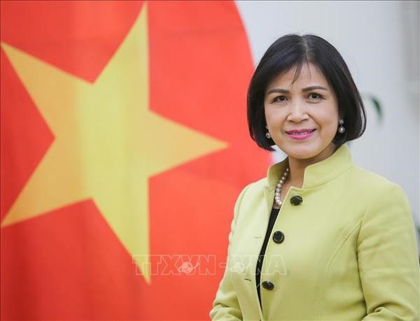 Vietnam hopes for further support from ILO: ambassador hinh anh 1