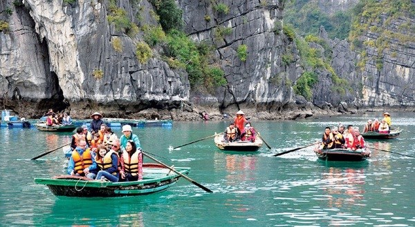 Vietnam enjoys strong rise in Indian tourist number hinh anh 1