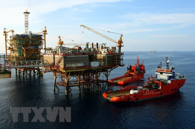 Petrovietnam Crude Oil Production Meets Yearly Target Hinh Anh 1