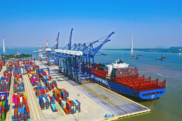 Pessimistic outlook for maritime transport firms amid weak demand hinh anh 1