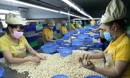 Vietnam records high export revenue from Cambodia hinh anh 1