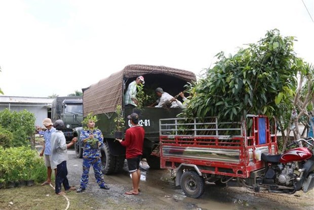 Ben Tre province donates 15,000 seedlings to Truong Sa island district hinh anh 2