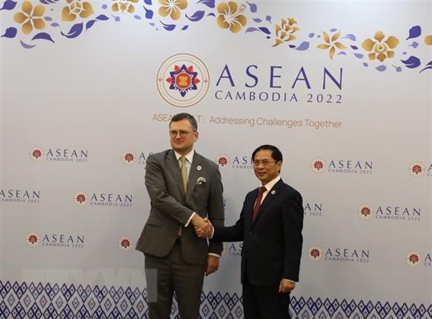 Vietnam welcomes Ukraine’s joining Treaty of Amity and Cooperation in Southeast Asia hinh anh 1