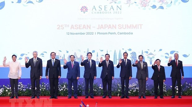 40th, 41st ASEAN Summits: Vietnam’s contribution to regional development processes highly commended hinh anh 1