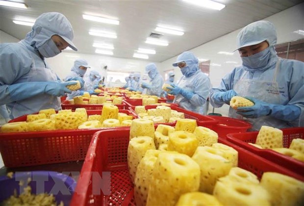 Vietnamese firms making relatively good use of EVFTA: survey hinh anh 1