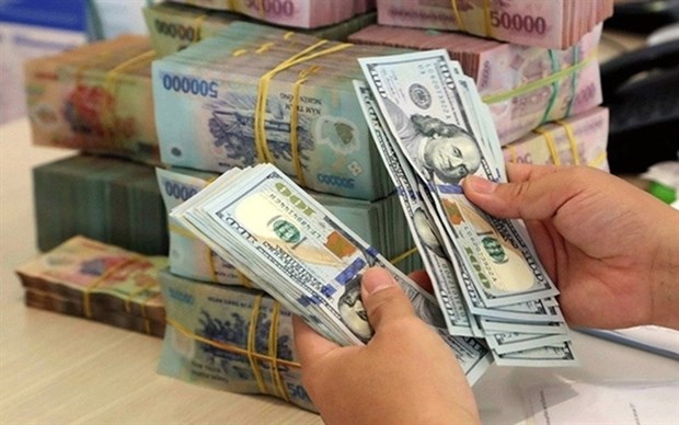 Reference exchange rate down 5 VND at week’s beginning hinh anh 1