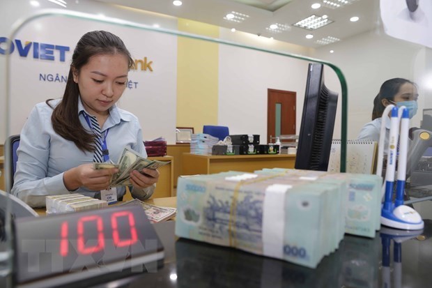 Reference exchange rate down 1 VND on November 15 hinh anh 1