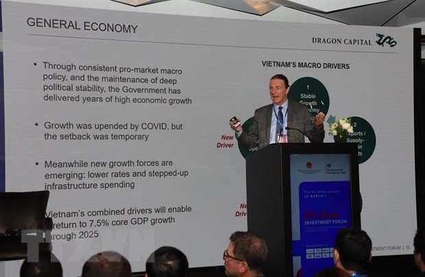 Strong purchasing power, demand drive Vietnam’s economic growth: expert hinh anh 2