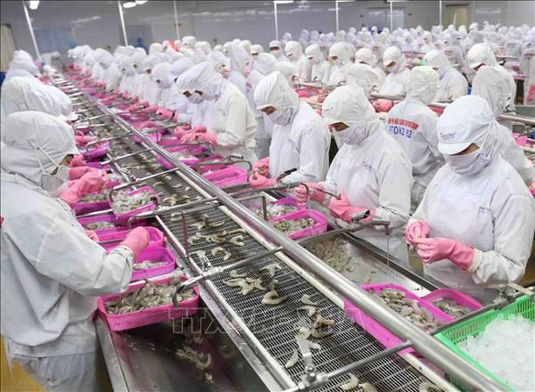 Vietnam sees impressive growth in aquatic exports to China hinh anh 1
