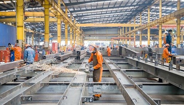 Strong purchasing power, demand drive Vietnam’s economic growth: expert hinh anh 1