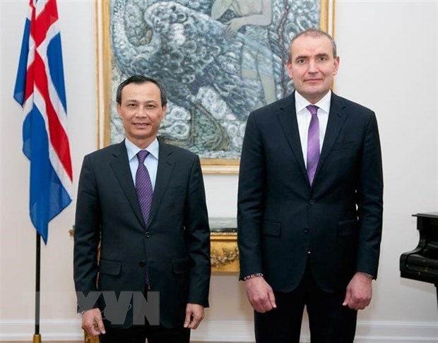 President of Iceland speaks of potential for cooperation with Vietnam hinh anh 1
