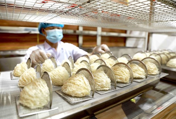 Vietnam bird's nests to enter Chinese market through official channel hinh anh 1