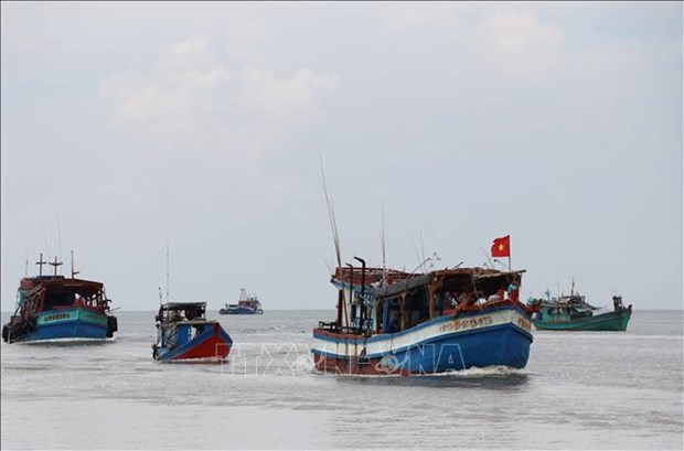 Coordination needed to handle fishing boats losing contact at sea: ministry hinh anh 1