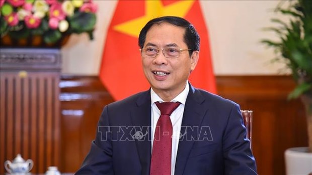 Foreign Minister holds bilateral meetings in Bangkok hinh anh 1