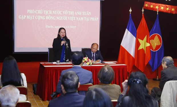 Vice President urges OVs in France to further contribute to bilateral ties hinh anh 1