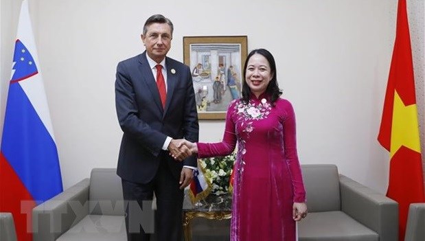 Vietnam eyes to expand bilateral, multilateral relations within Francophone Community hinh anh 1