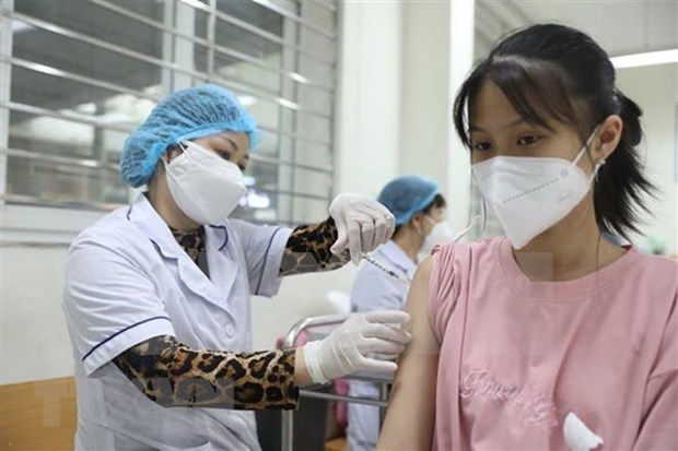 Vietnam reports 546 new COVD-19 cases on November 23 hinh anh 1