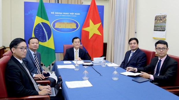 Vietnam, Brazil hold deputy ministerial-level political consultation hinh anh 1