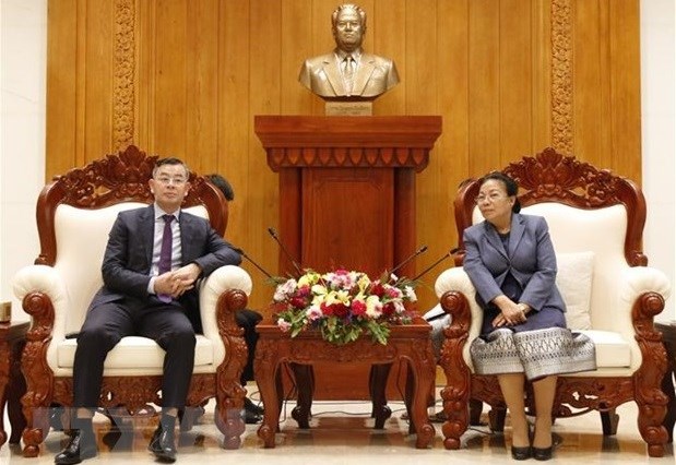 State Auditor General pays courtesy calls to Lao leaders hinh anh 2