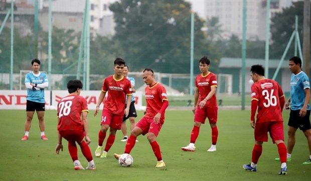 Friendly match against Dortmund important for Vietnam, says Park hinh anh 1